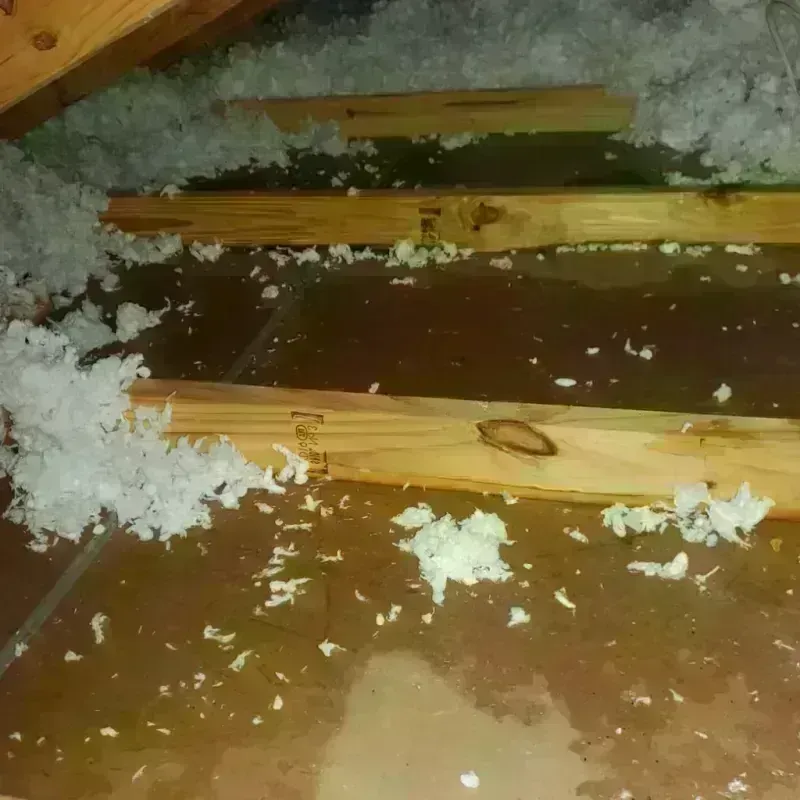 Attic Water Damage in Parker, SD