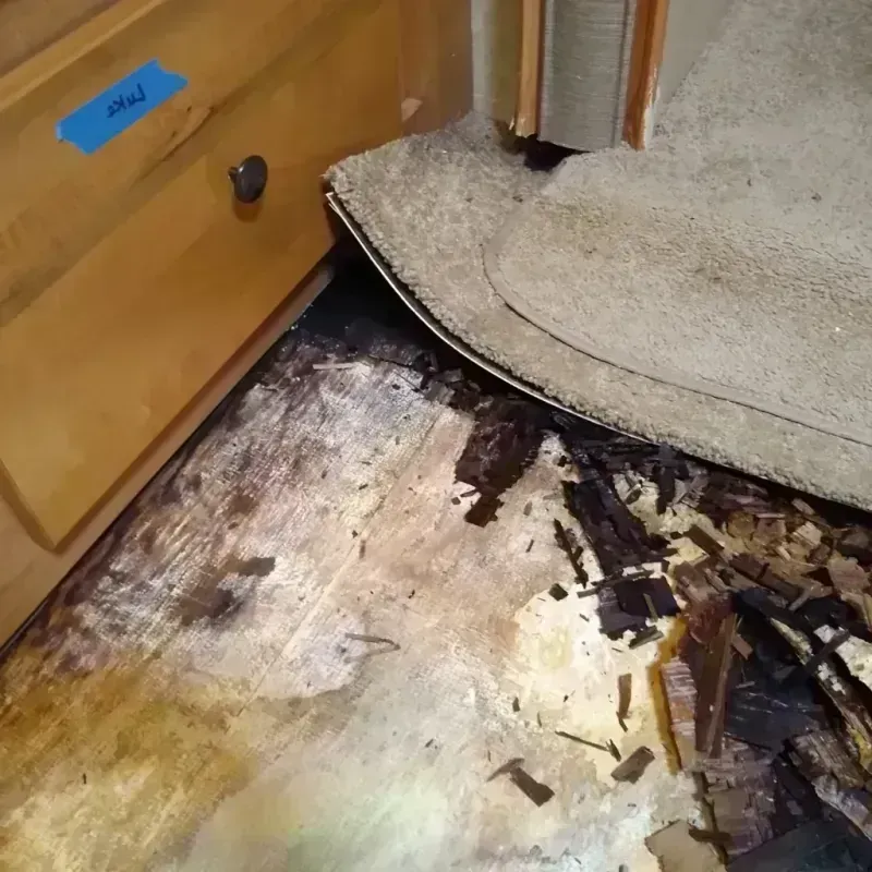 Best Wood Floor Water Damage Service in Parker, SD